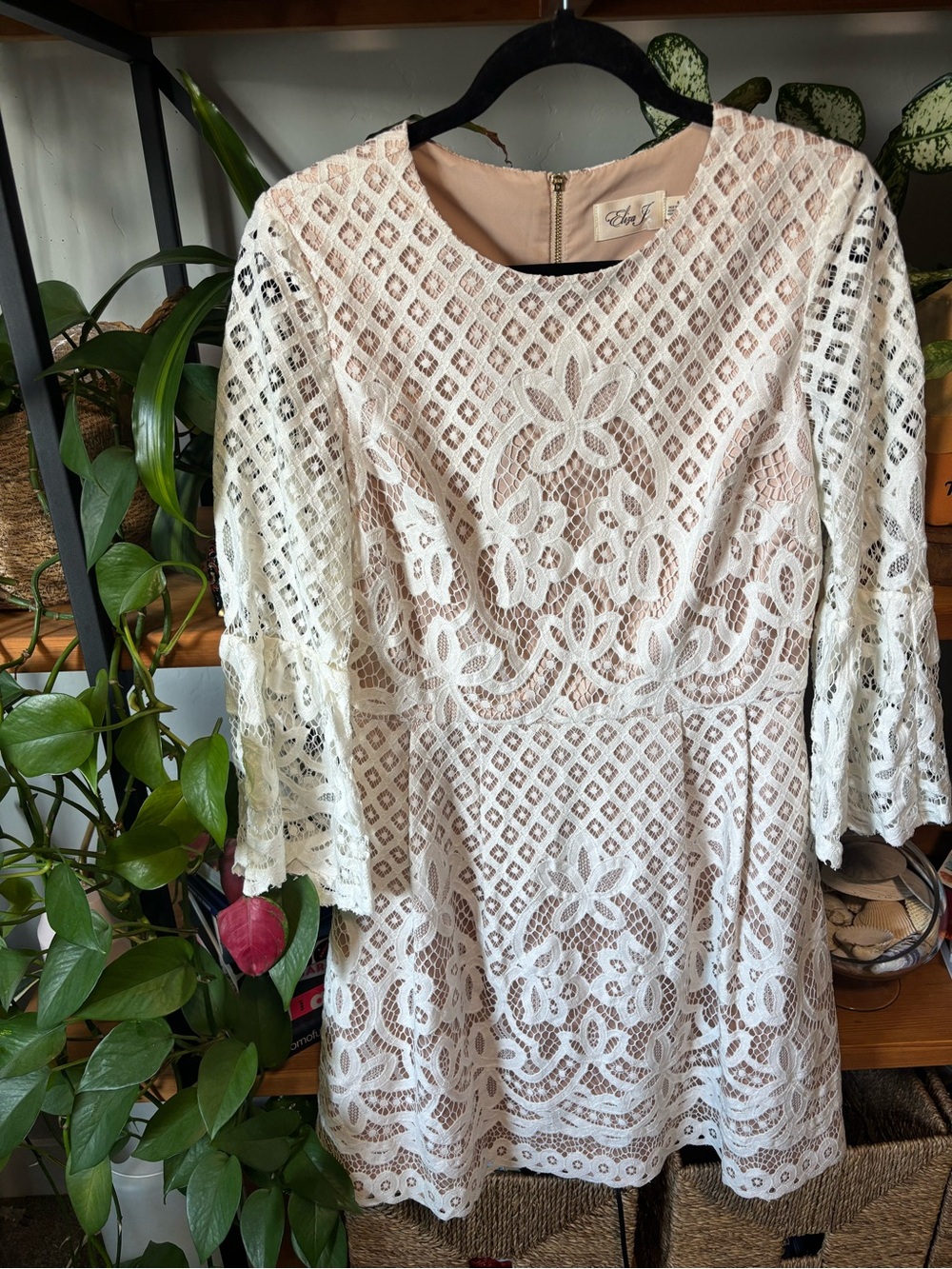 ELIZA J Bell Sleeve Lace Fit & Flare Dress In Ivory | Size 8 - Picture 4 of 8